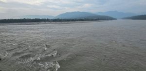 Mother and son go missing in Narayani River, daughter rescued