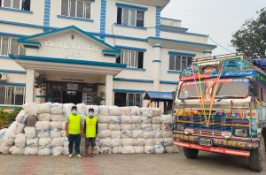 Two arrested with more than 25 quintals of marijuana