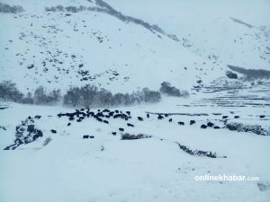 Snow cuts off Limi as residents face shortages and isolation