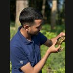 Indian flapshell turtle rescued and released into wetland 