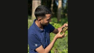 Indian flapshell turtle rescued and released into wetland 